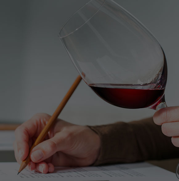 Wine Tasting & Sommelier Services